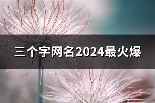 三个字网名2024最火爆(共210个)