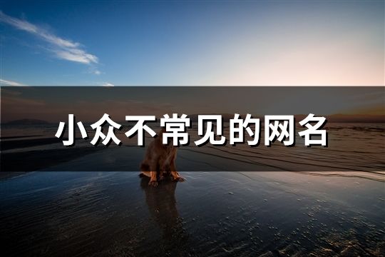 小众不常见的网名(共127个)