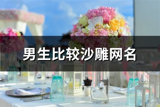 男生比较沙雕网名(291个)