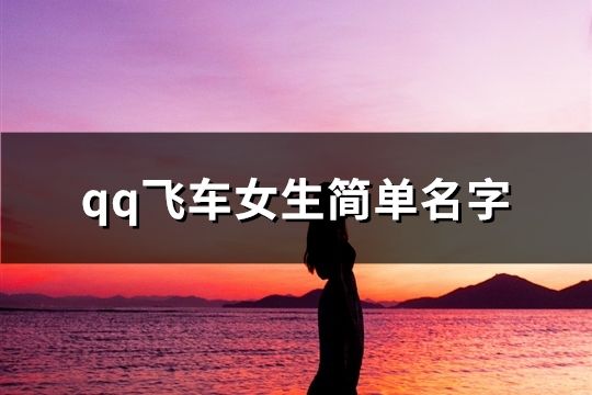 qq飞车女生简单名字(213个)