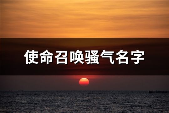 使命召唤骚气名字(精选681个)