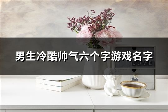 男生冷酷帅气六个字游戏名字(精选457个)