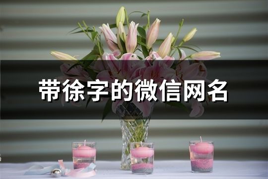 带徐字的微信网名(共95个)