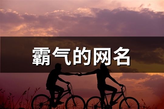 霸气双字网名大全：彰显个性，引领风骚 (霸气双字网名大全)