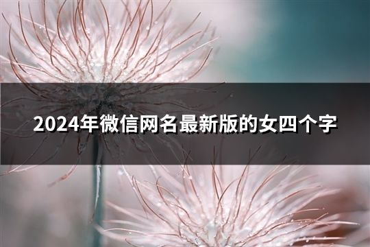 2024年微信网名最新版的女四个字(68个)