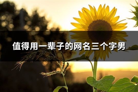 值得用一辈子的网名三个字男(共275个)