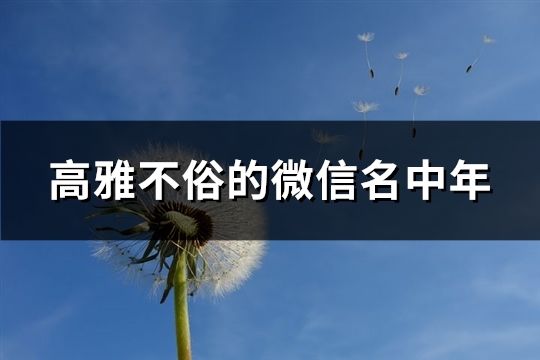 高雅不俗的微信名中年(共38个)