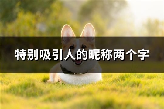 特别吸引人的昵称两个字(共44个)