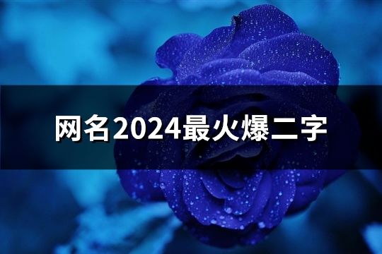 网名2024最火爆二字(精选38个)