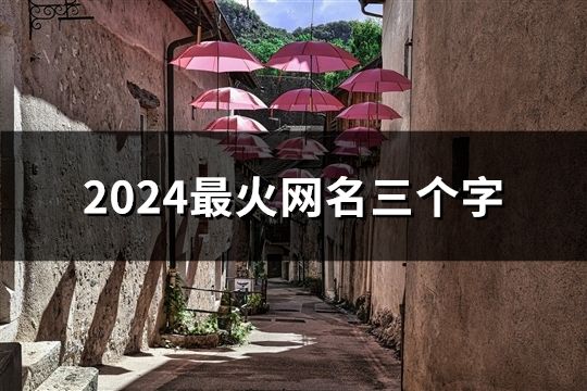 2024最火网名三个字(47个)