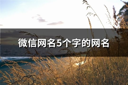 微信网名5个字的网名(共606个)