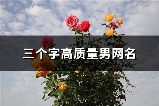 三个字高质量男网名(614个)