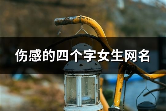 伤感的四个字女生网名(513个)