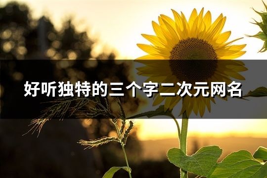 好听独特的三个字二次元网名(254个)