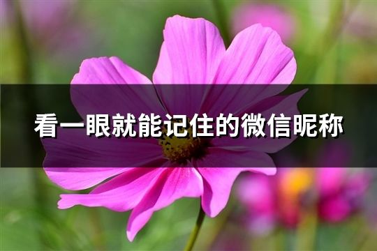 看一眼就能记住的微信昵称(33个)