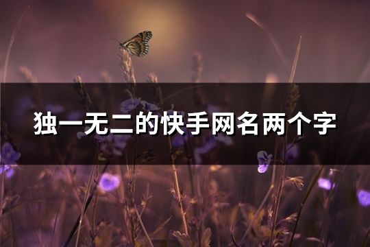 独一无二的快手网名两个字(精选37个)