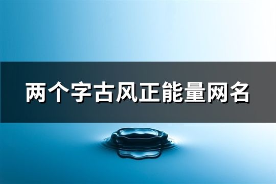 两个字古风正能量网名(精选510个)