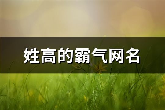 姓高的霸气网名(精选206个)