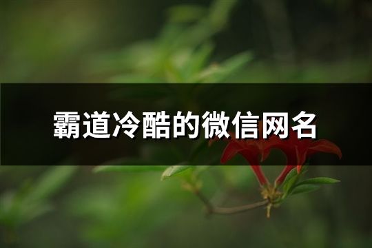 霸道冷酷的微信网名(精选726个)