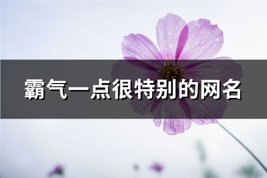 霸气一点很特别的网名(精选179个)