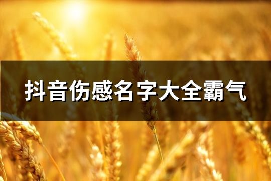 抖音伤感名字大全霸气(47个)