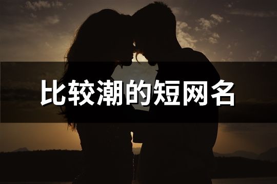 比较潮的短网名(1232个)