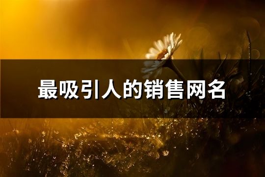 最吸引人的销售网名(精选131个)