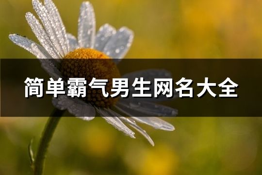 简单霸气男生网名大全(727个)