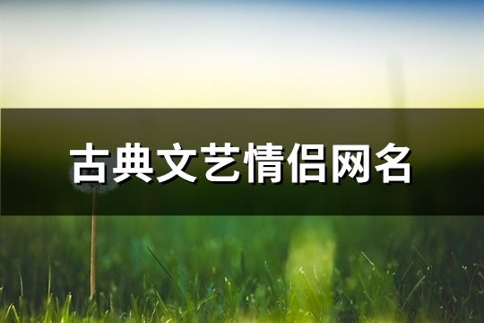 古典文艺情侣网名(196对)