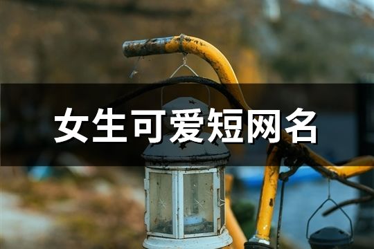 女生可爱短网名(精选760个)