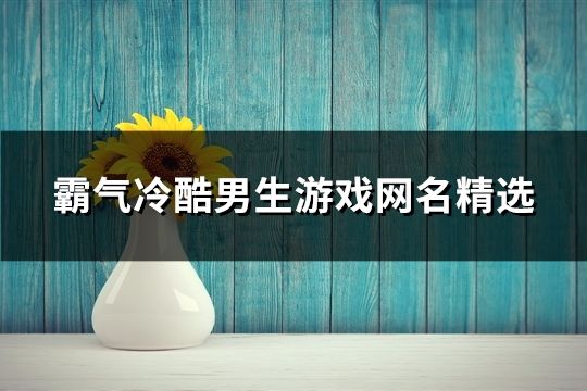 霸气冷酷男生游戏网名精选(1053个)