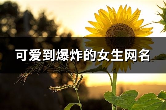 可爱到爆炸的女生网名(526个)