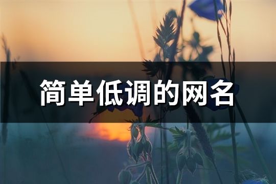 简单低调的网名(468个)