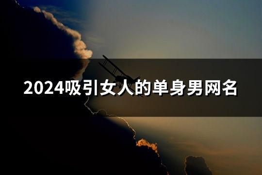 2024吸引女人的单身男网名(共1039个)