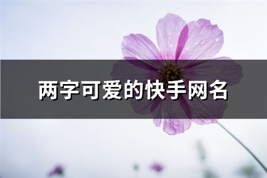 两字可爱的快手网名(共1403个)