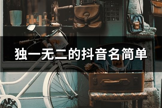 独一无二的抖音名简单(共1054个)