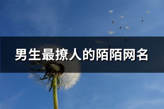 男生最撩人的陌陌网名(精选283个)