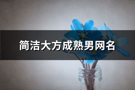 简洁大方成熟男网名(共1673个)