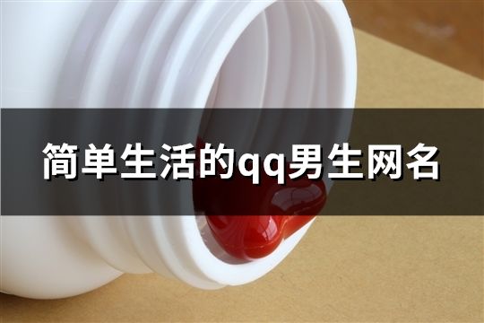 简单生活的qq男生网名(共670个)