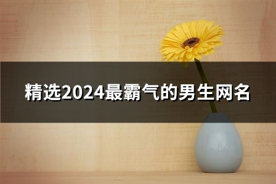 精选2024最霸气的男生网名(602个)