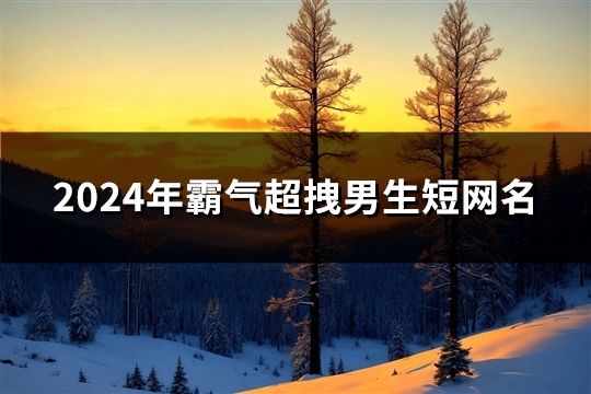 2024年霸气超拽男生短网名(1467个)