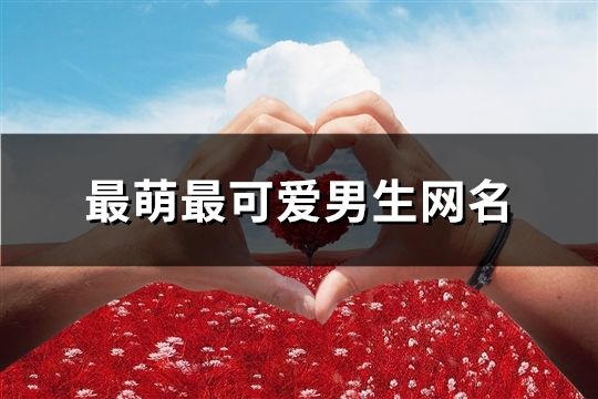 最萌最可爱男生网名(精选393个)