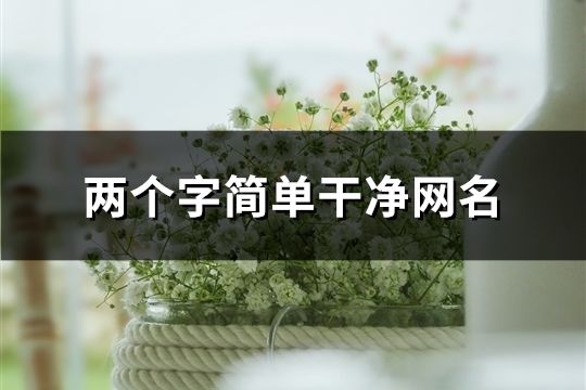 两个字简单干净网名(共856个)