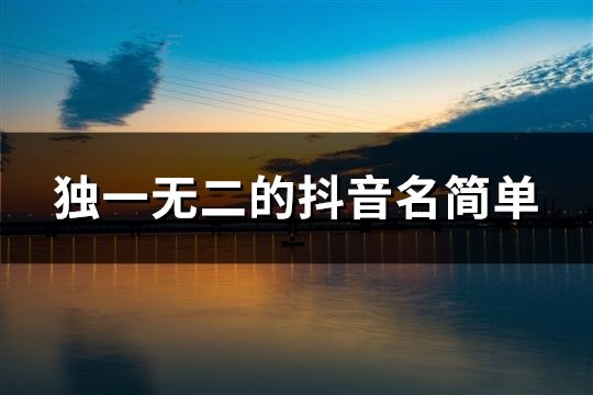 独一无二的抖音名简单(共98个)