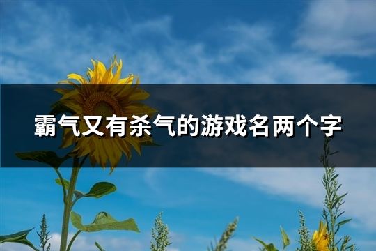 霸气又有杀气的游戏名两个字(共150个)