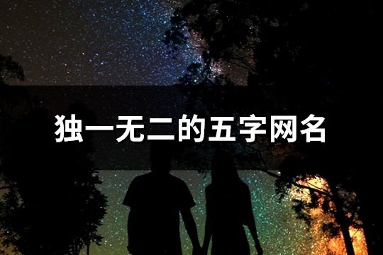 独一无二的五字网名(精选114个)