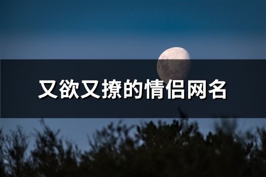 又欲又撩的情侣网名(精选80对)